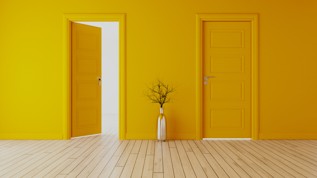 Uma espaço com duas portas e um vaso de planta no centro entre elas.
A parede e as portas estão pintadas de amarelo.