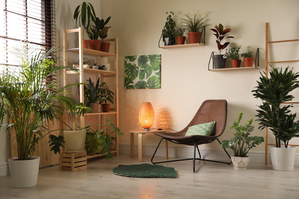 Ambiente iluminado com luz natural, decorado com plantas em um estante e no chão, além de uma cadeira confortável com uma almofada.