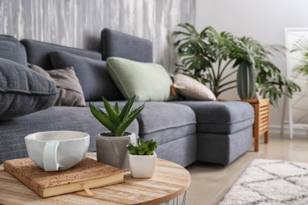 Sala de estar com um sofá e almofadas, ambiente decorado com algumas plantas e suculenta em cima de uma mesinha de centro.